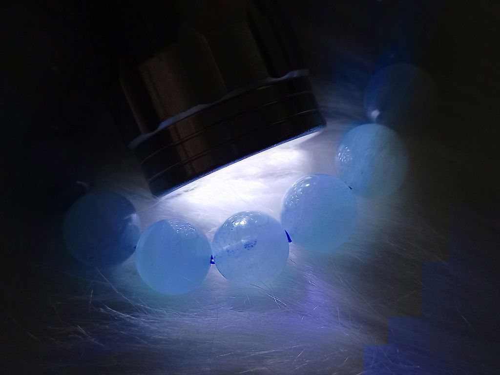 C219G