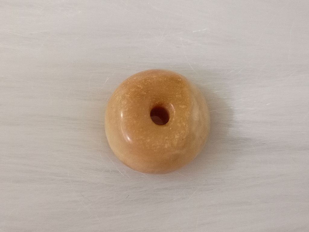 P491G1