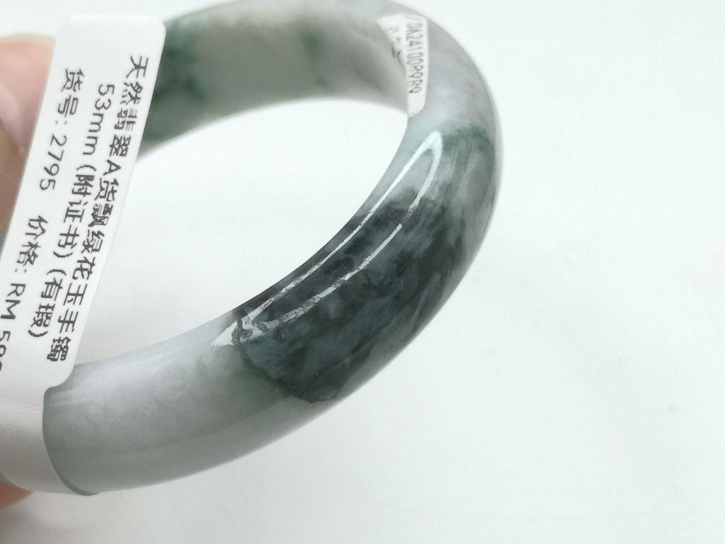 B2795I