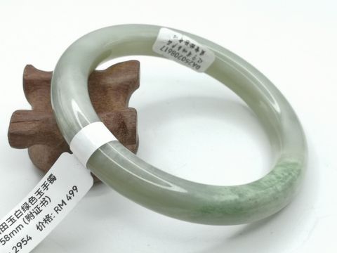 B2954A