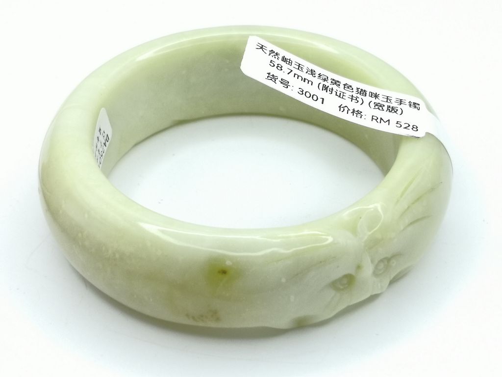 B3001G