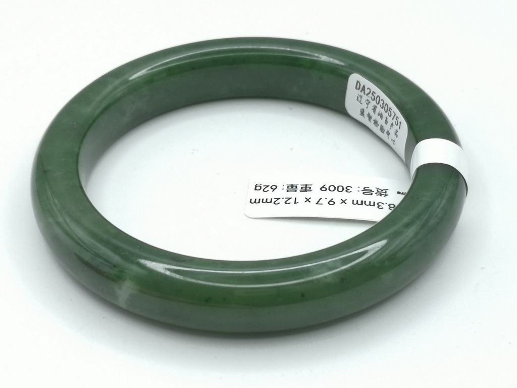 B3009F
