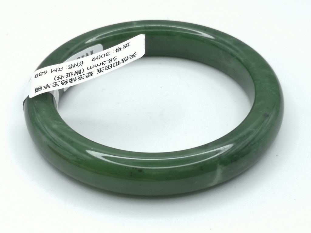 B3009E