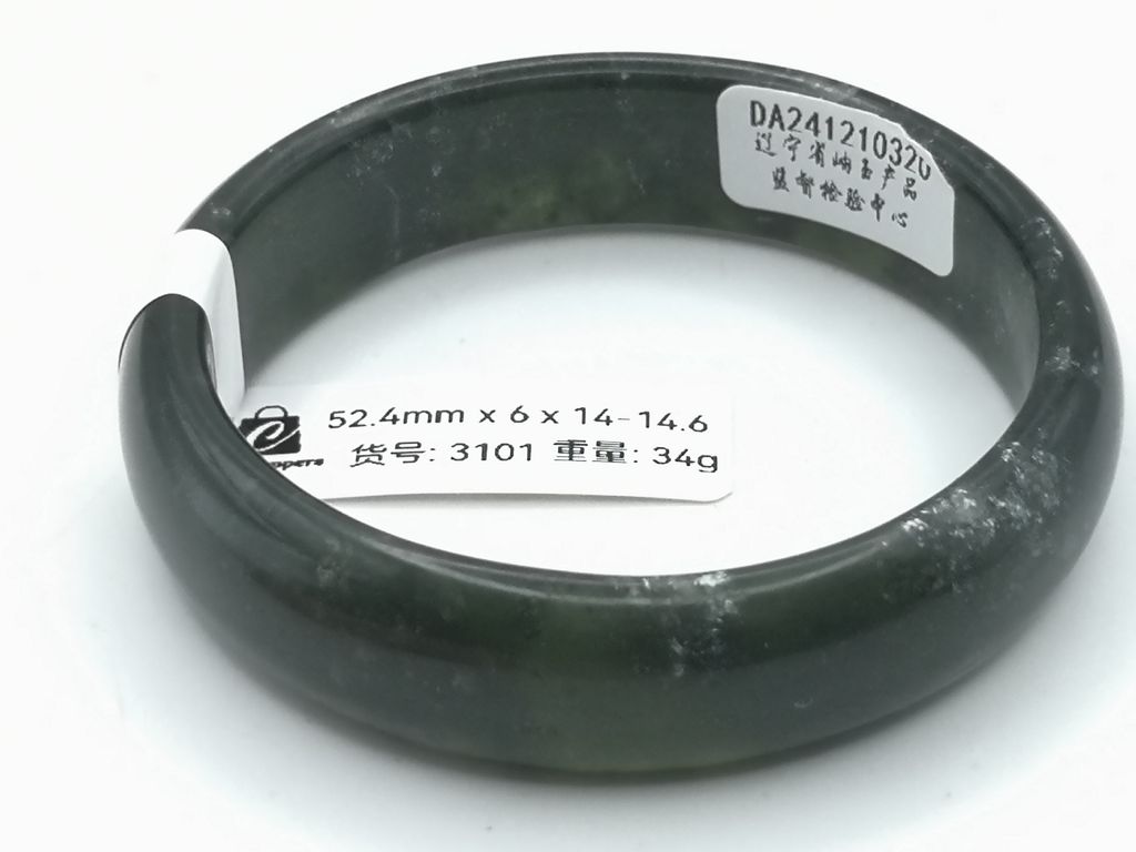 B3101D