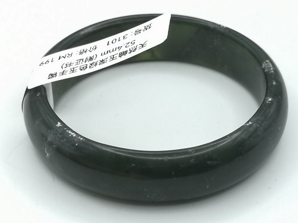 B3101E