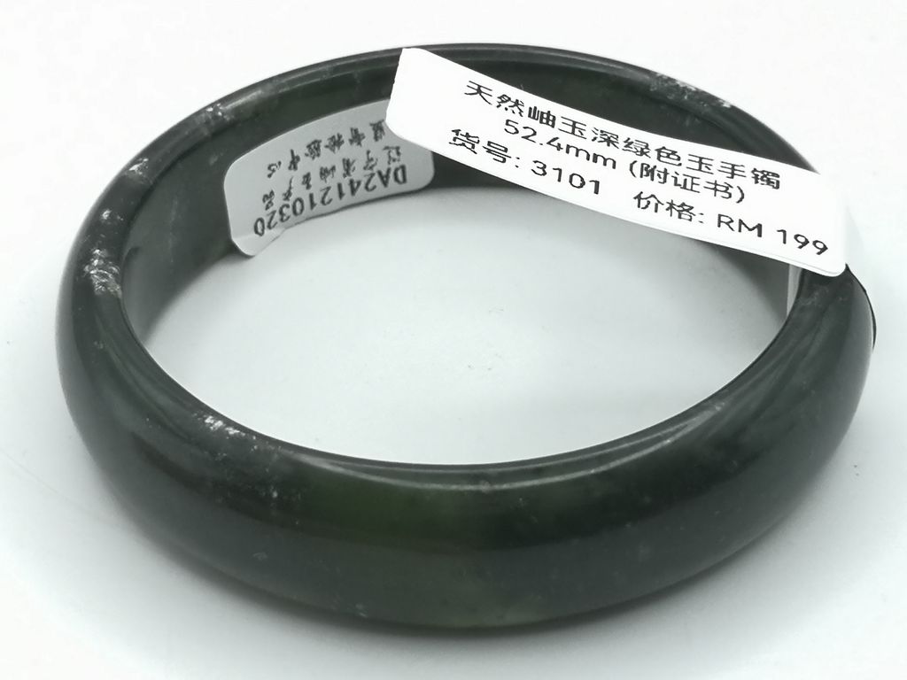 B3101G
