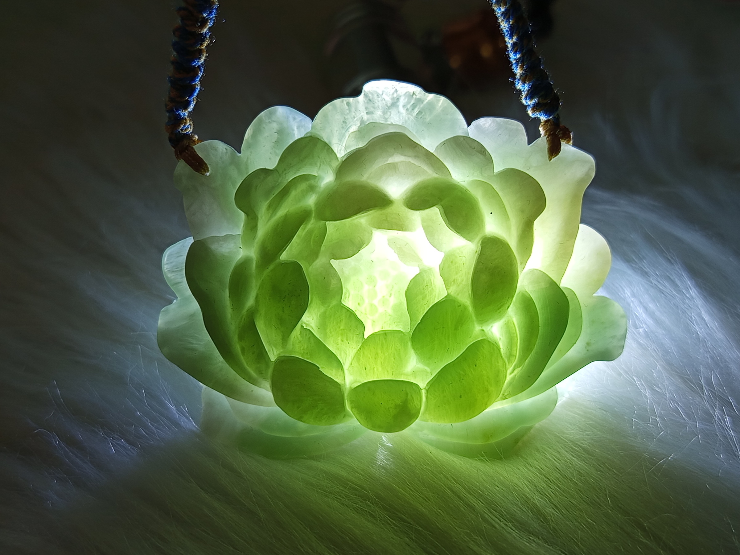 贝壳光 7cm×5m 100cm/loop 花园步径 贝壳光 7cm×5m 100cm/loop 花园步径