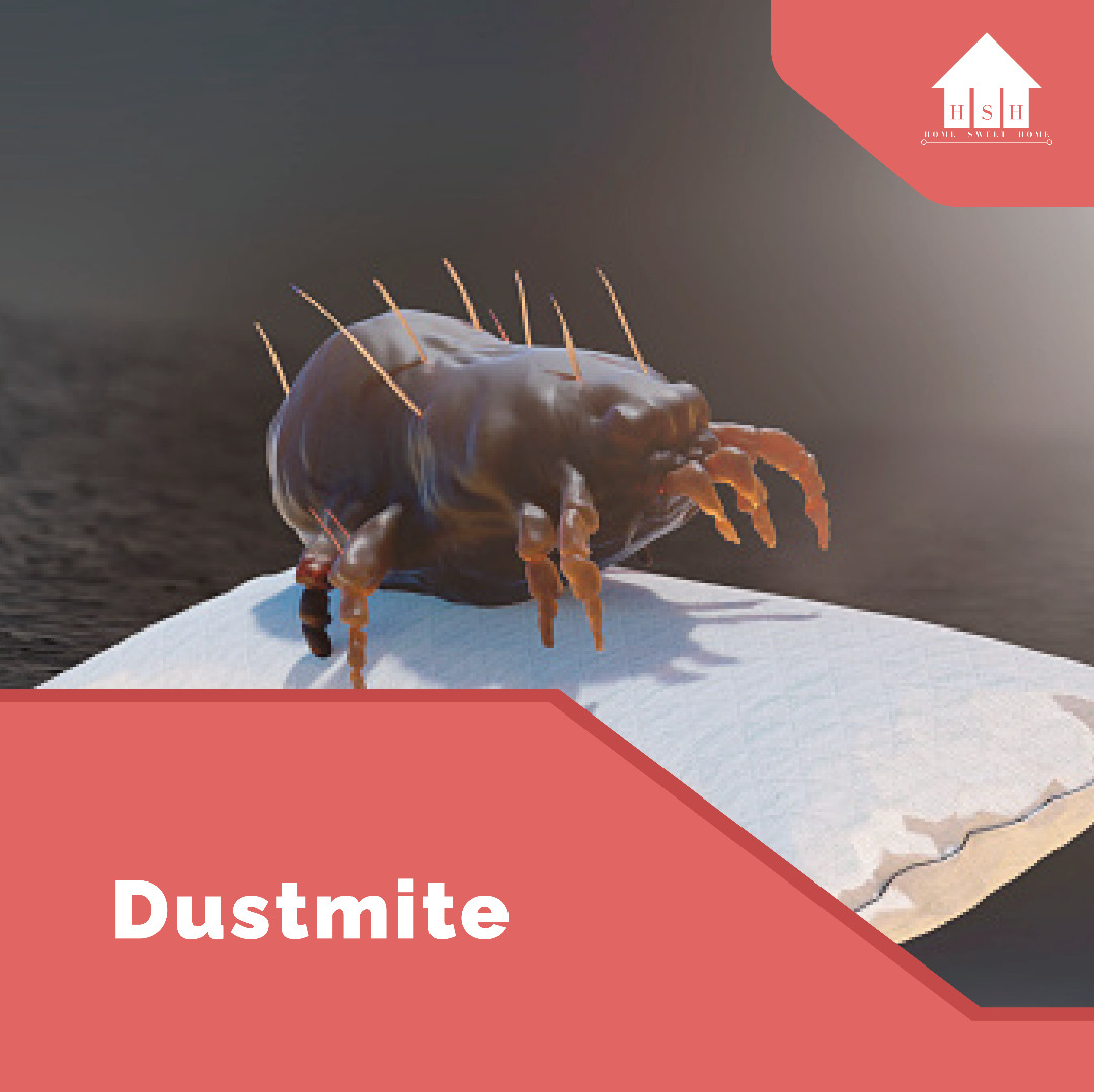 Dustmite