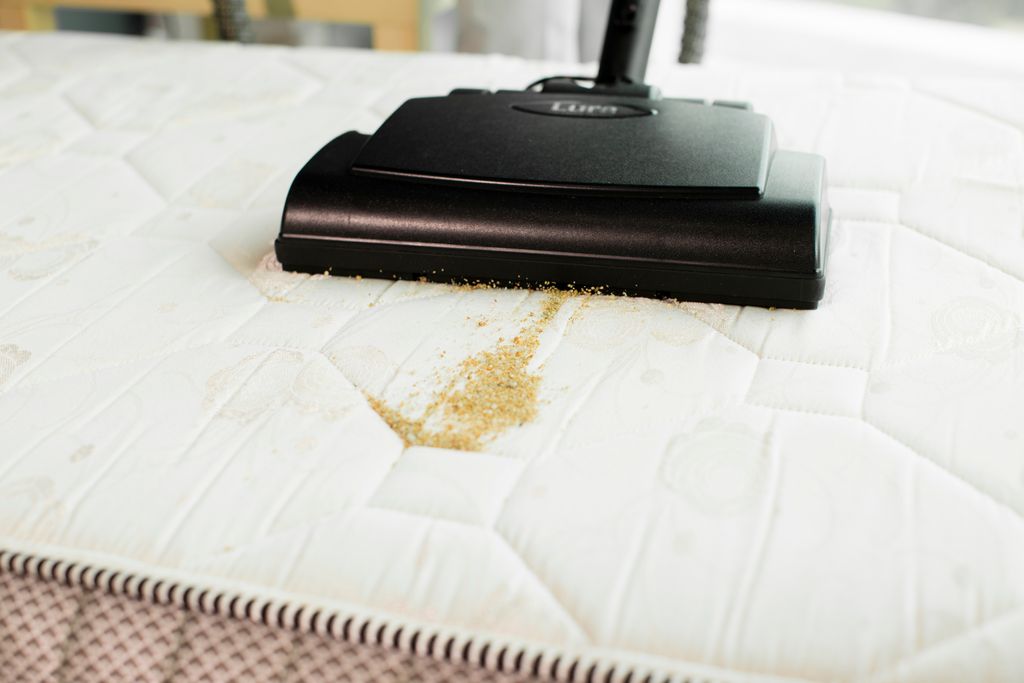 Dust mite in mattress