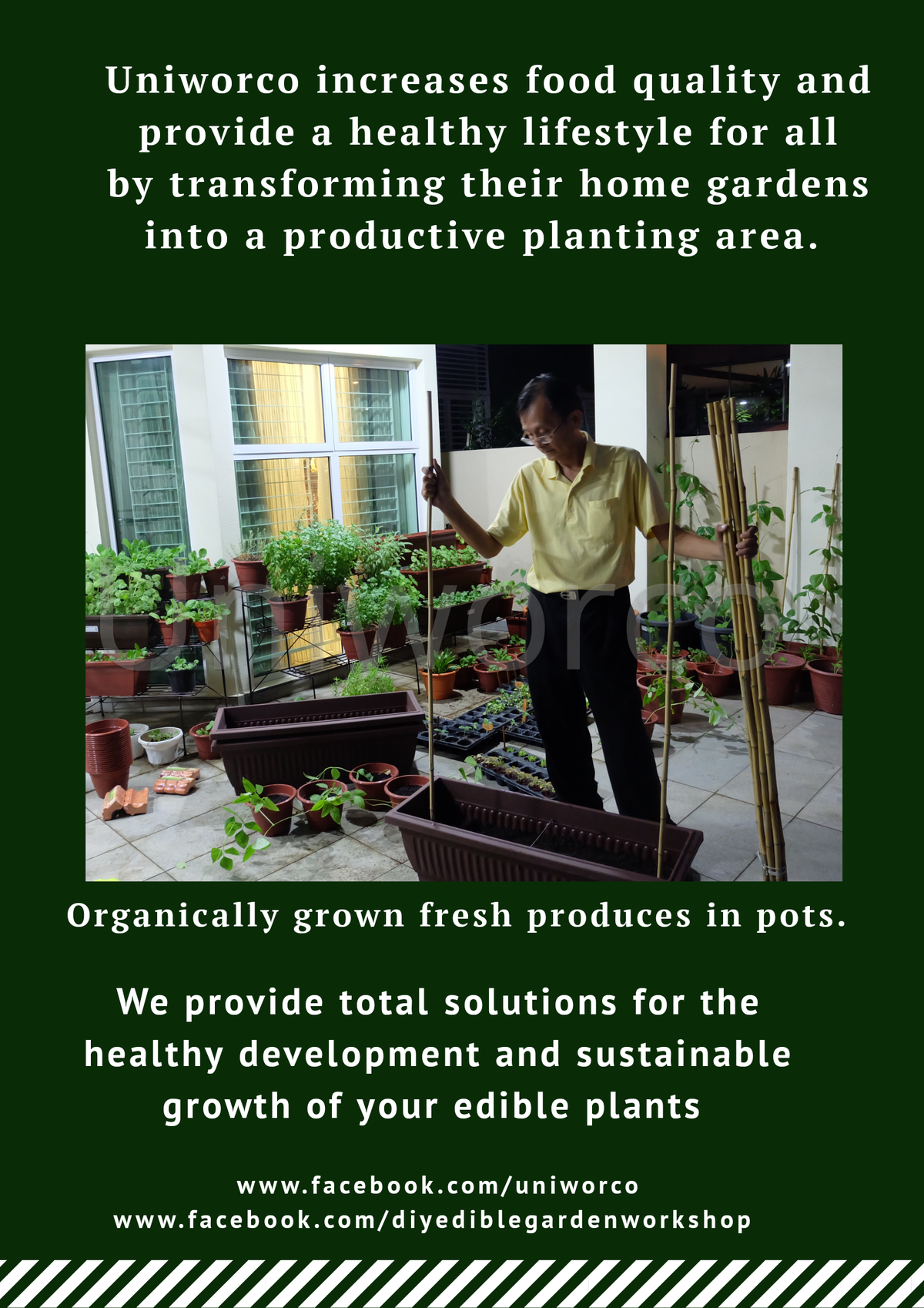 How to maintain your organic edible garden effectively ?