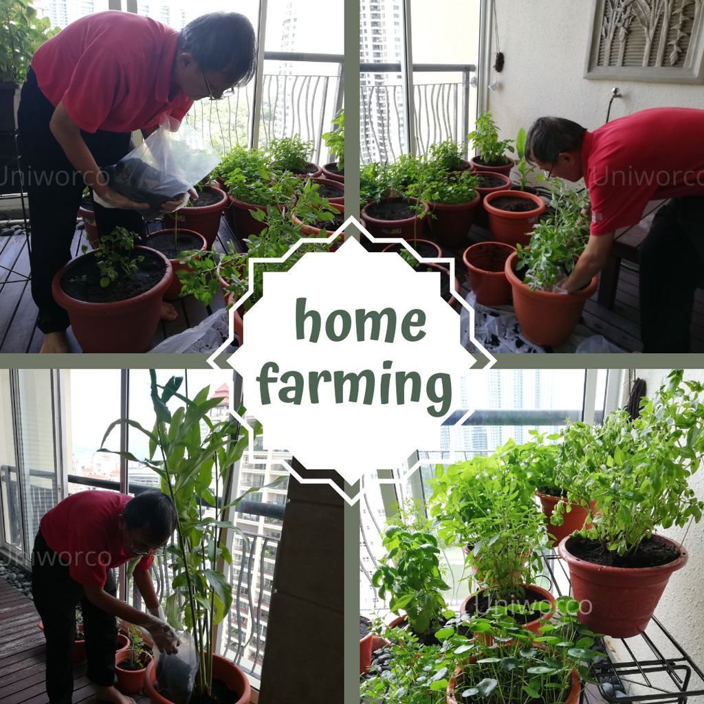 #homefarming.png