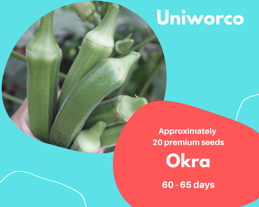 OKCRA.png