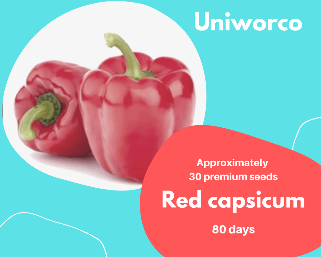 RED CAPSICUM.png
