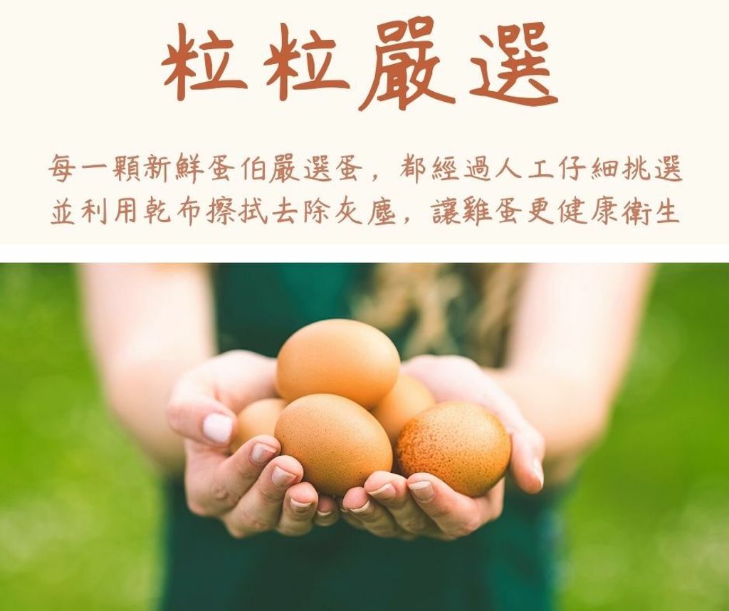 每一顆嚴選蛋 (1).jpg