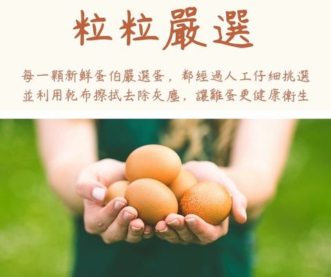 每一顆嚴選蛋 (1).jpg