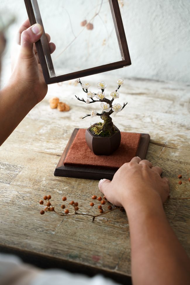 陽台花序Balcony Sense | Featured Collections - 工藝盆栽課程