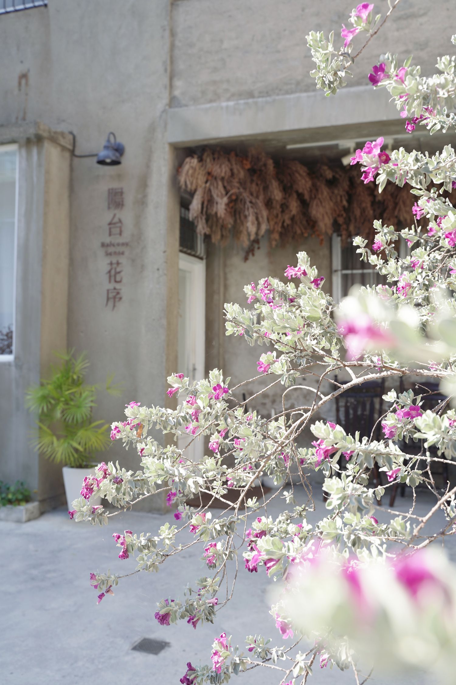 陽台花序Balcony Sense | Balcony Sense