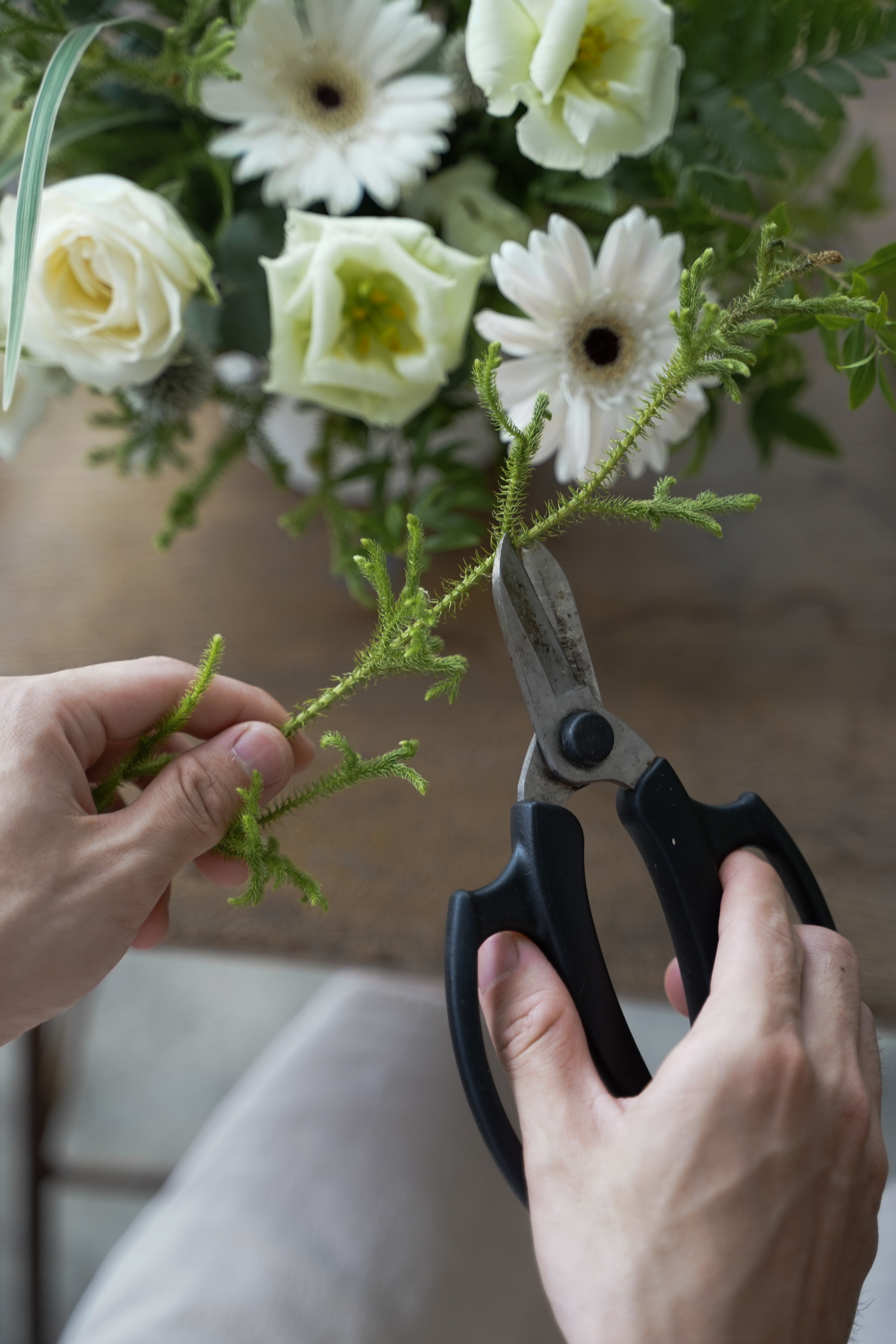 20210705-DSC09638.jpg 20210705-DSC09638.jpg