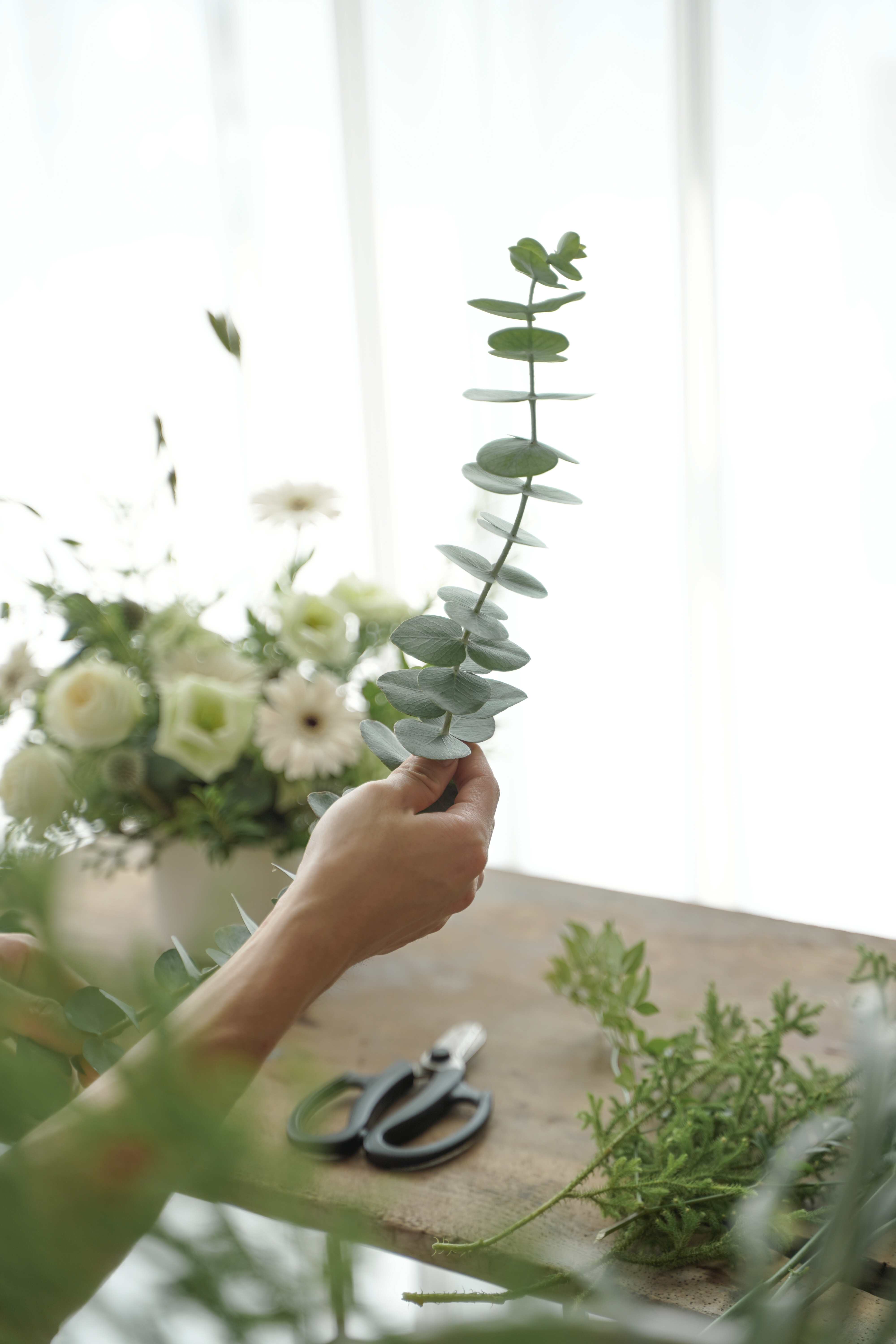 20210705-DSC09598.jpg 20210705-DSC09598.jpg