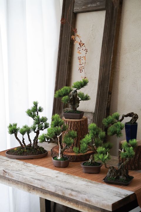 日本工藝盆栽證書課程– 陽台花序Balcony Sense