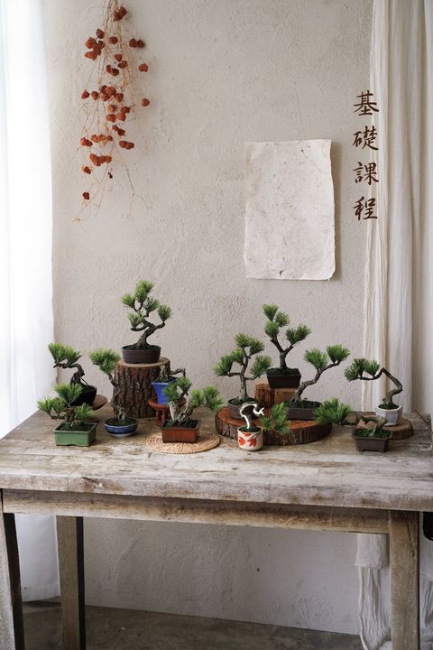 日本工藝盆栽證書課程– 陽台花序Balcony Sense