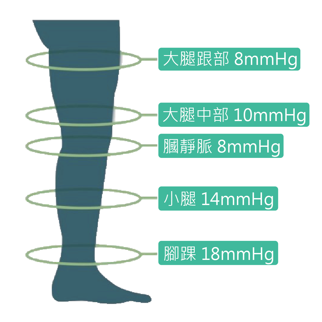 漸進式壓力分佈圖