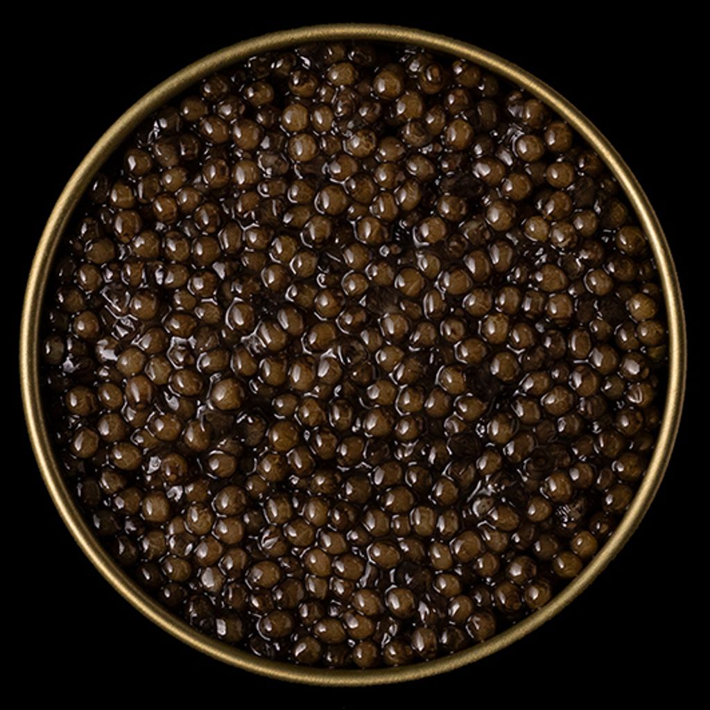 Luxoria Caviar (3)