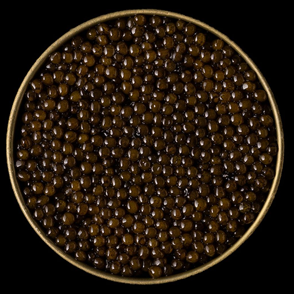 Prestia Caviar (3)