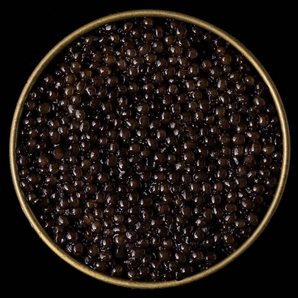 Prestia with Truffle caviar