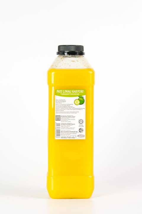 PPA08293