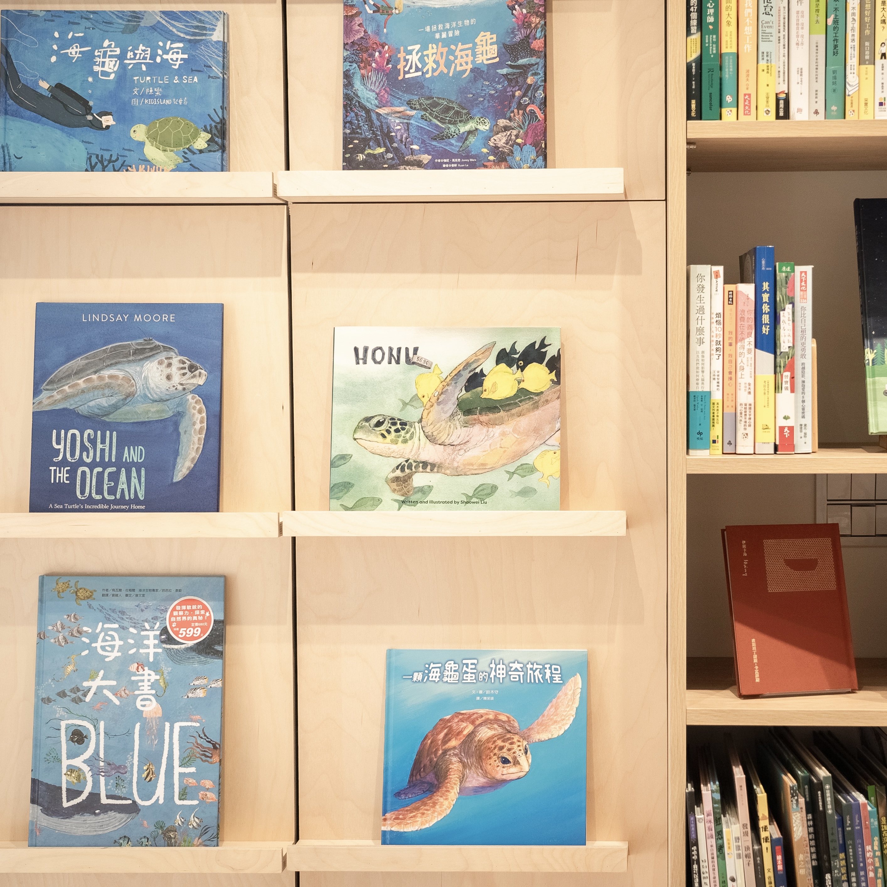oceanbook