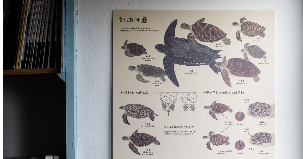 與龜相關的繪本書單（下）