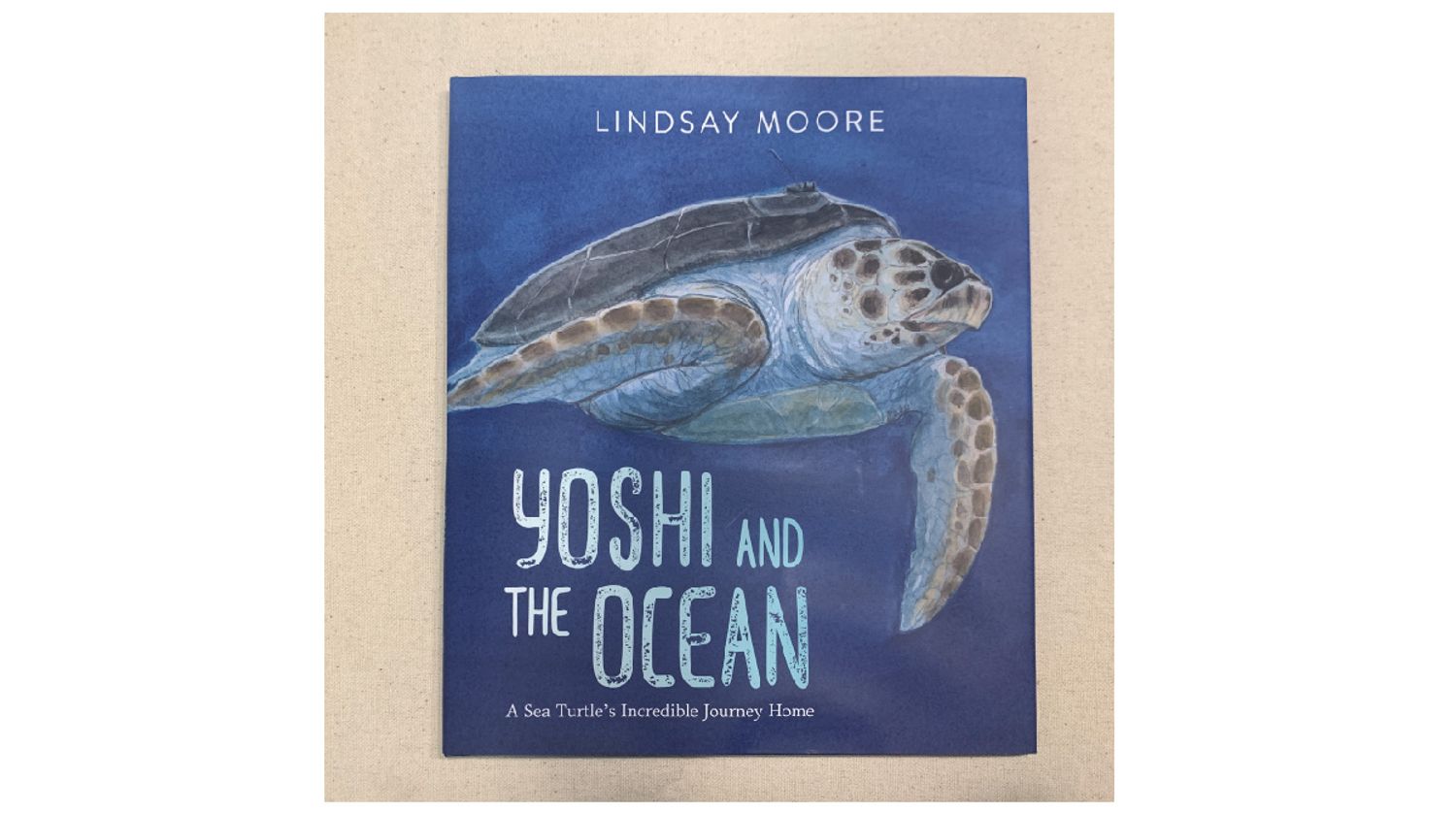 小島停琉 Linger Bookstore | YOSHI and the Ocean