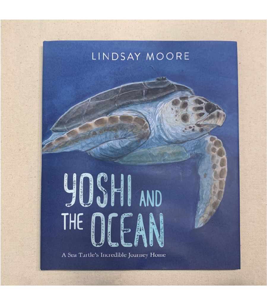 小島停琉 Linger Bookstore | YOSHI and the Ocean