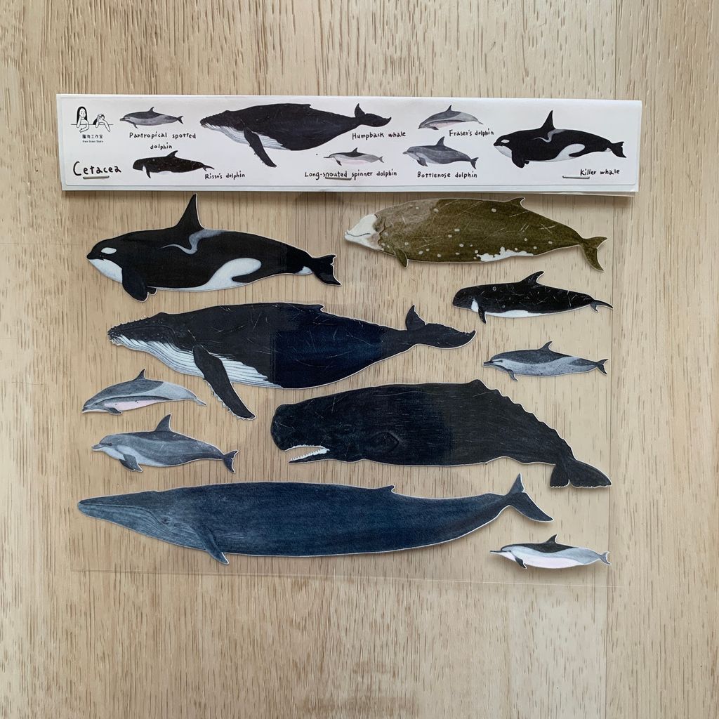 transfersticker_cetacea_1