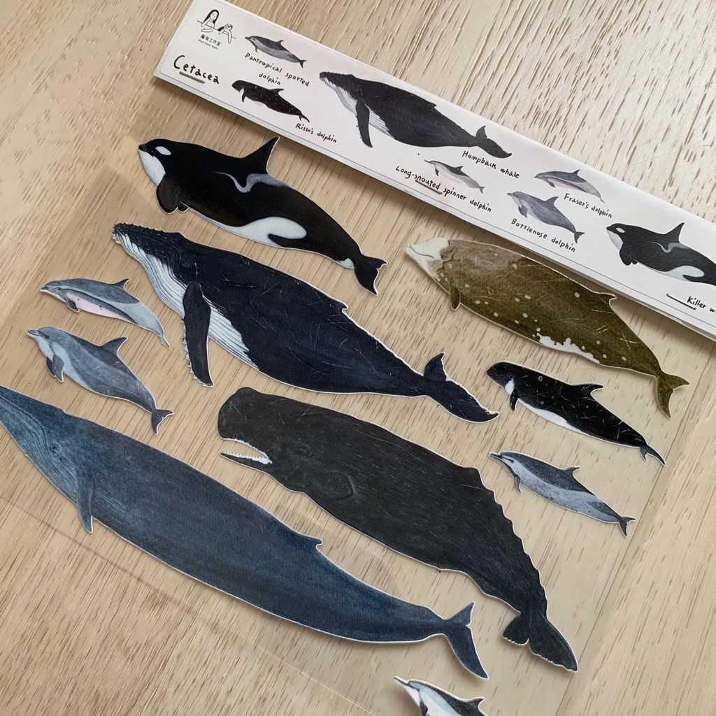 transfersticker_cetacea_2