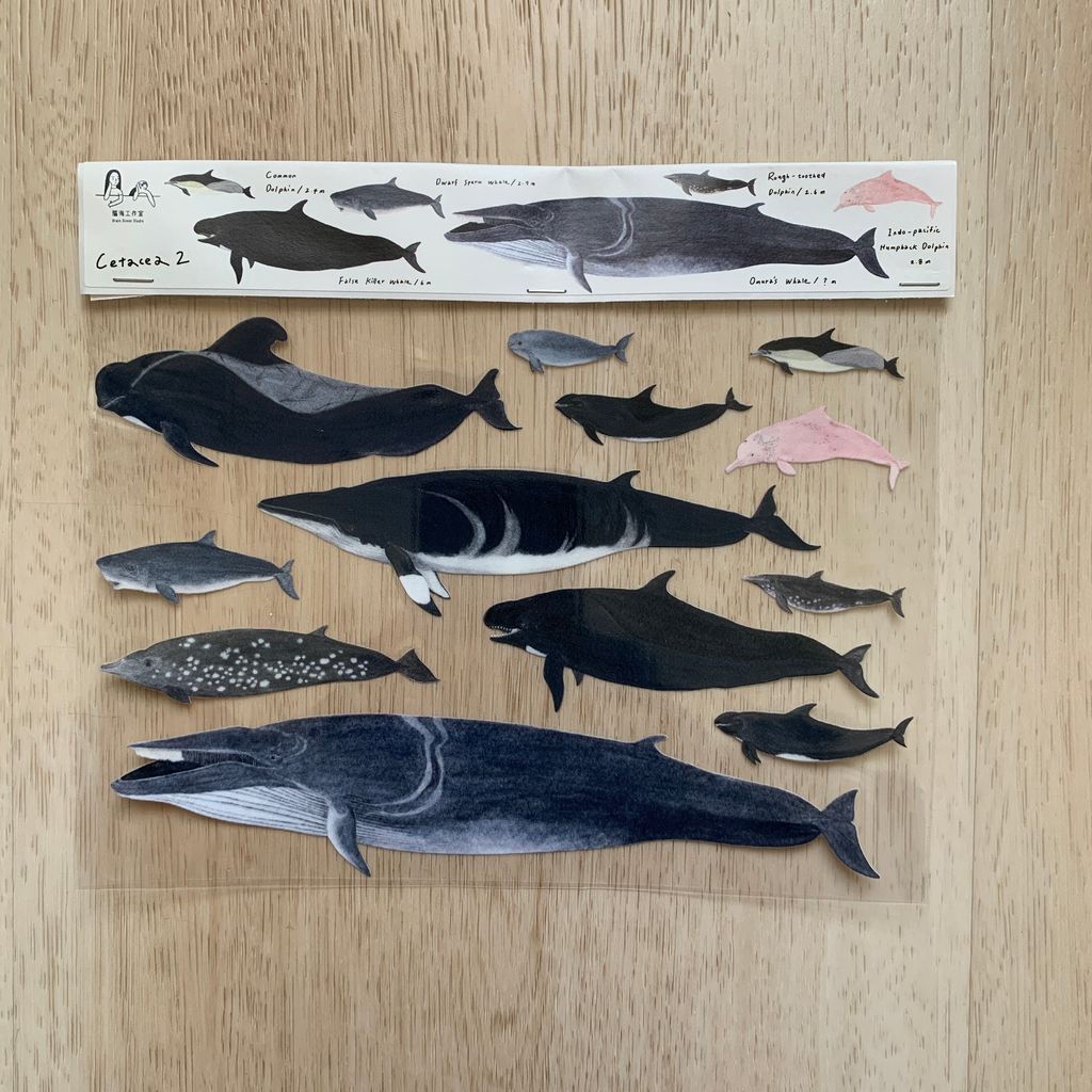transfersticker_cetacea2_1