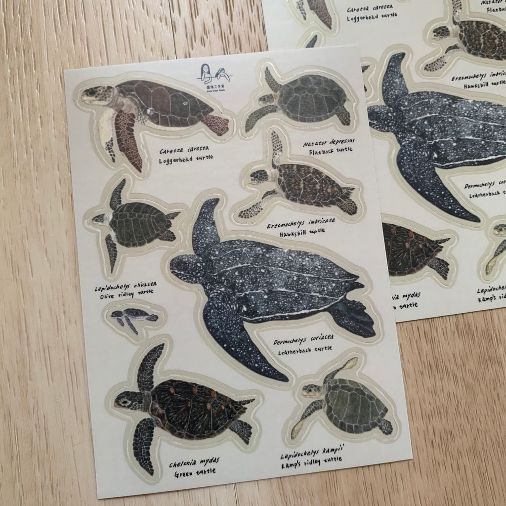 collectionsticker_seaturtle1