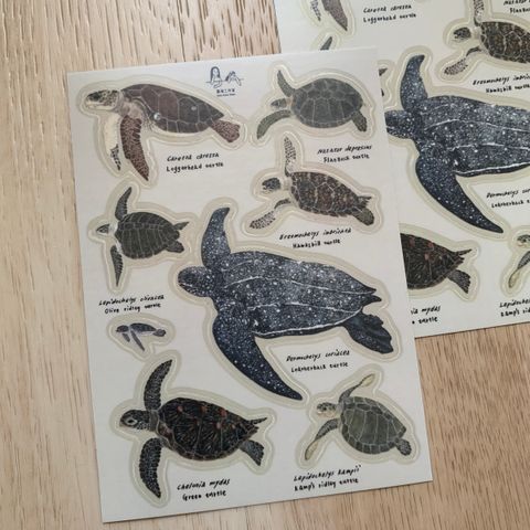 collectionsticker_seaturtle1