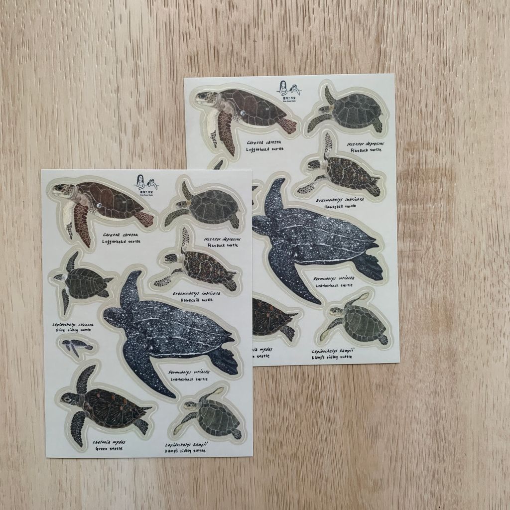 collectionsticker_seaturtle