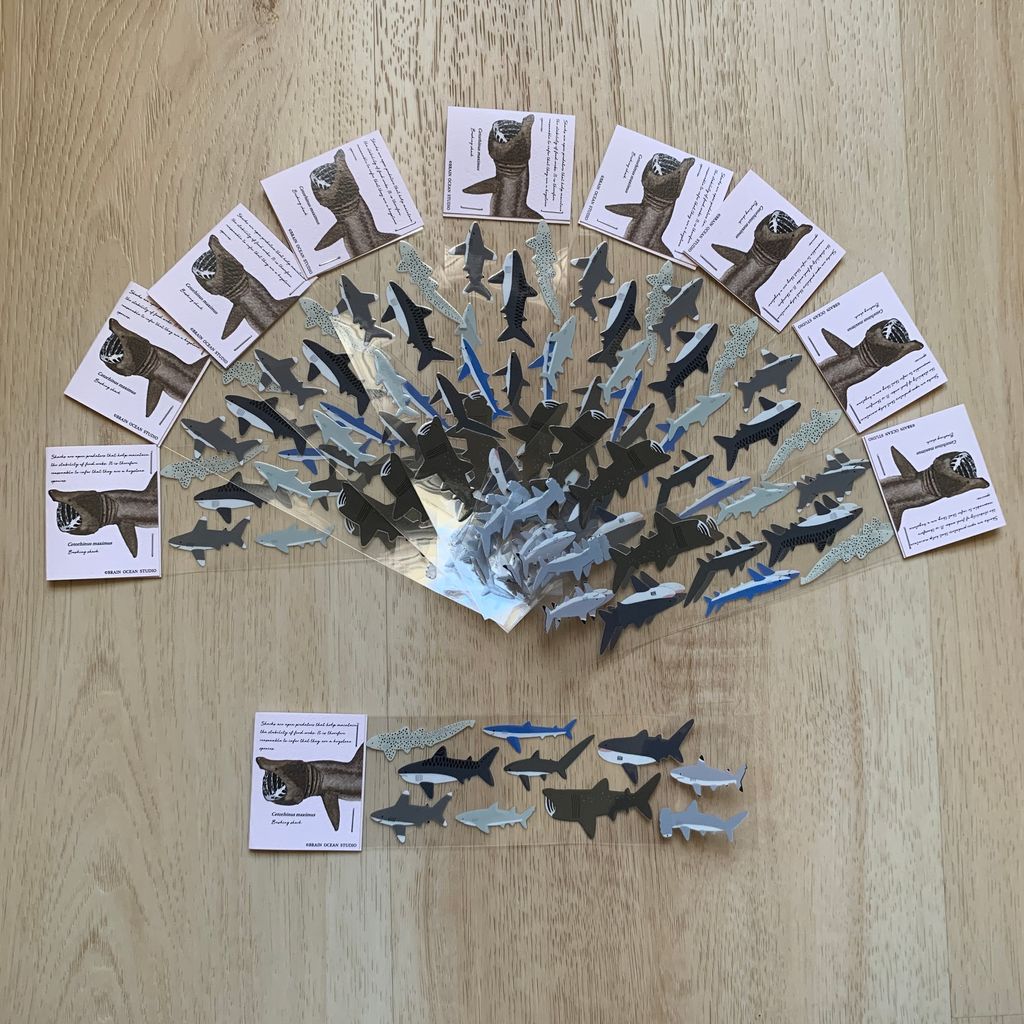 transfersticker_shark1