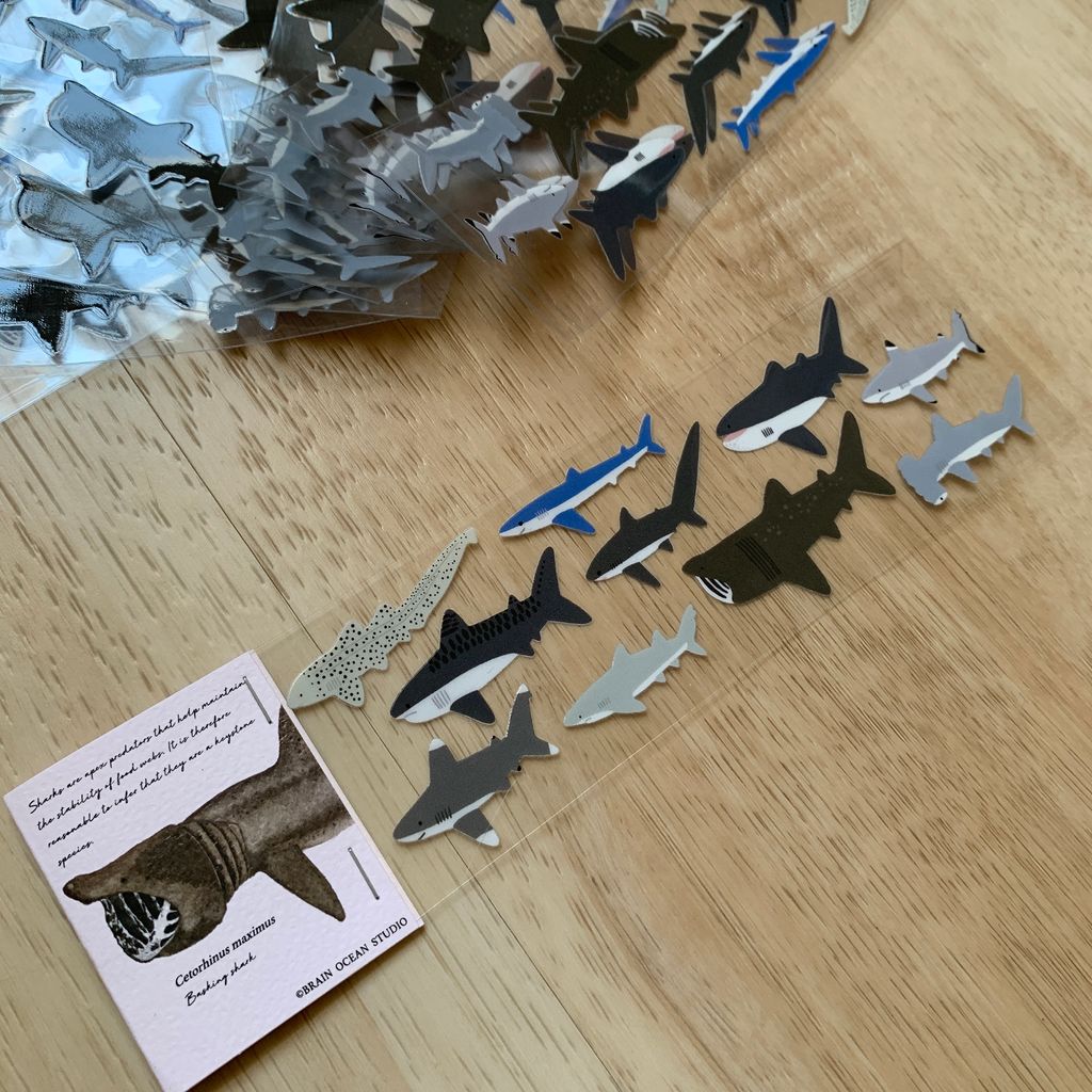 transfersticker_shark2