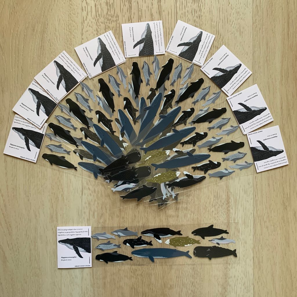 transfersticker_cetacea1