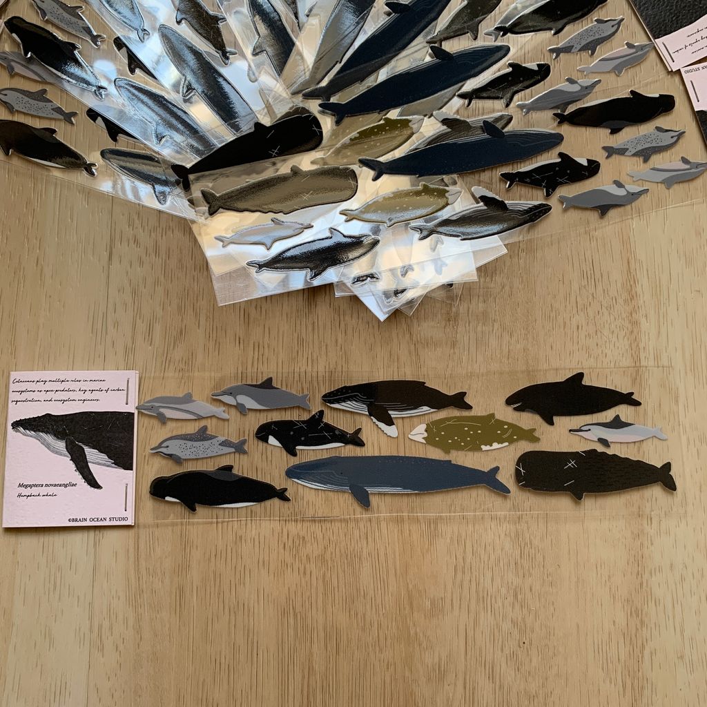 transfersticker_cetacea3