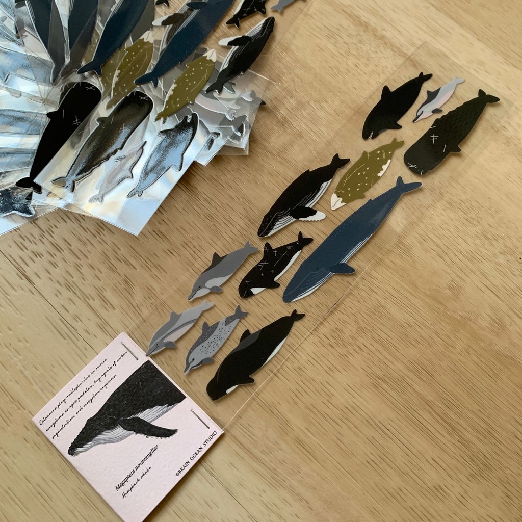 transfersticker_cetacea2