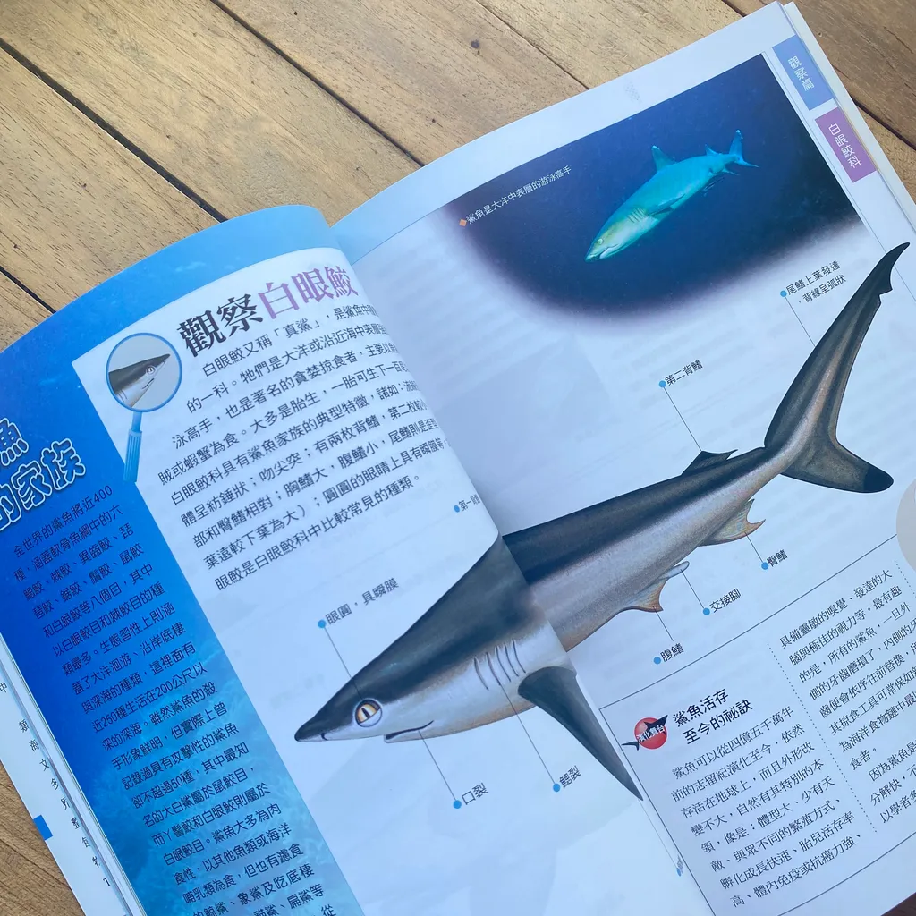 魚類觀察入門 小島停琉linger Bookstore