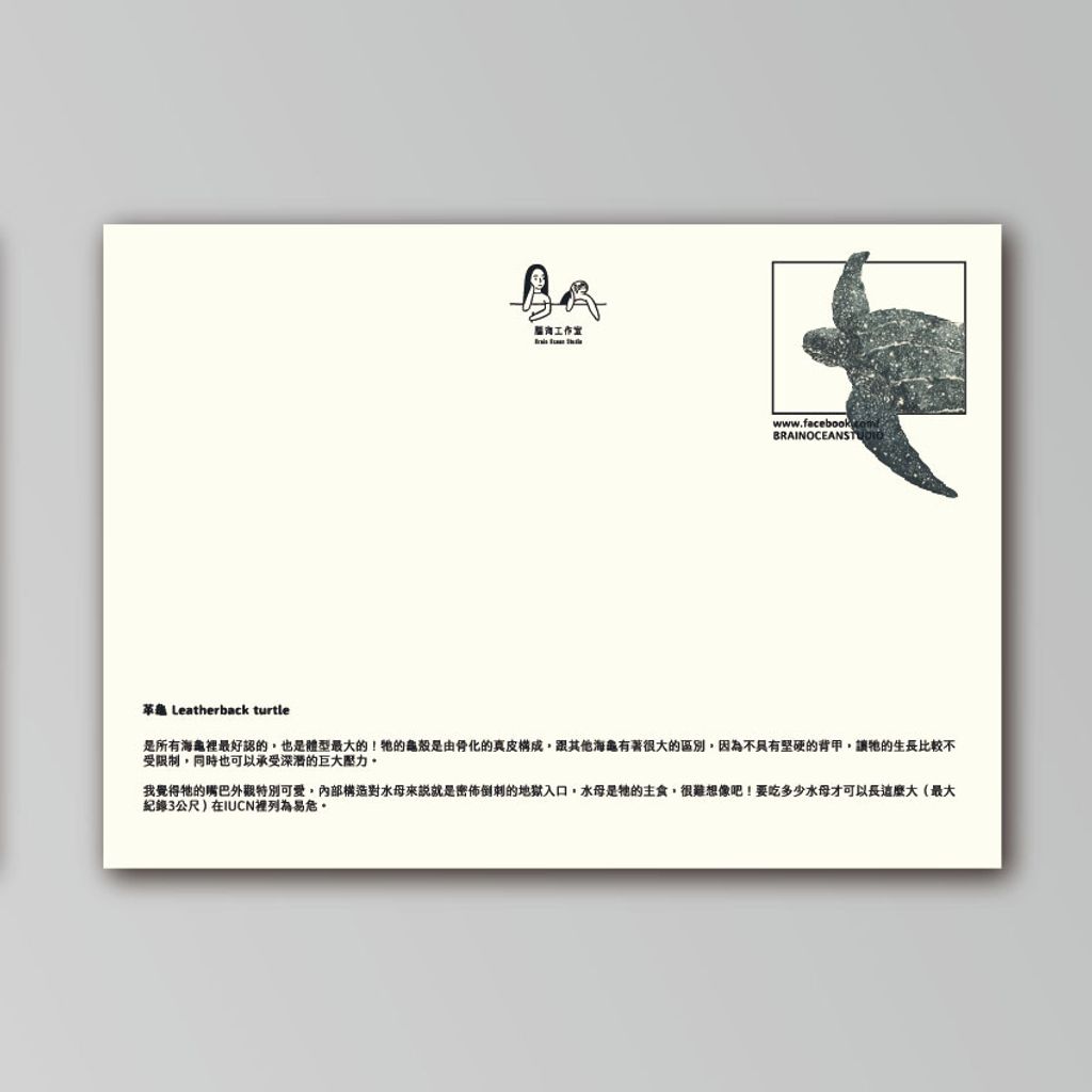 postcard-leatherback2.jpg