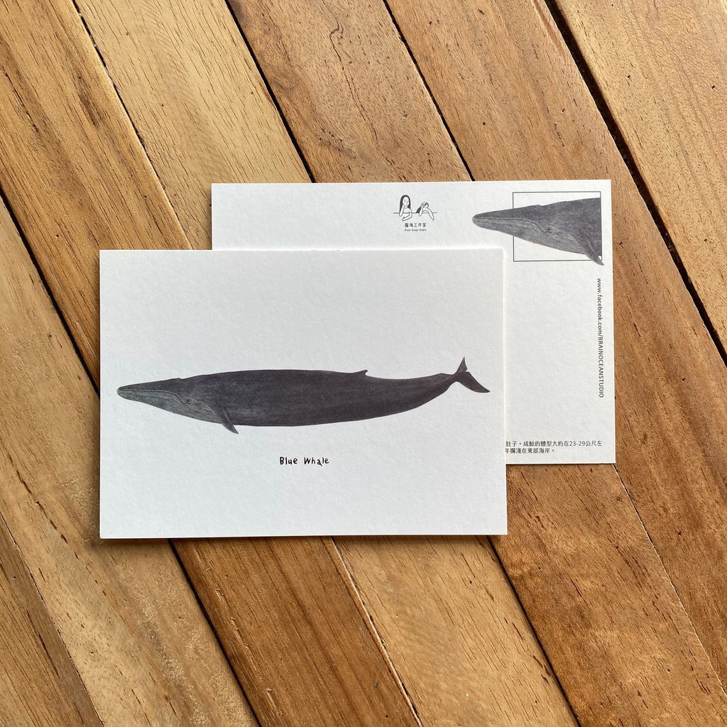 postcard-bluewhale.jpg