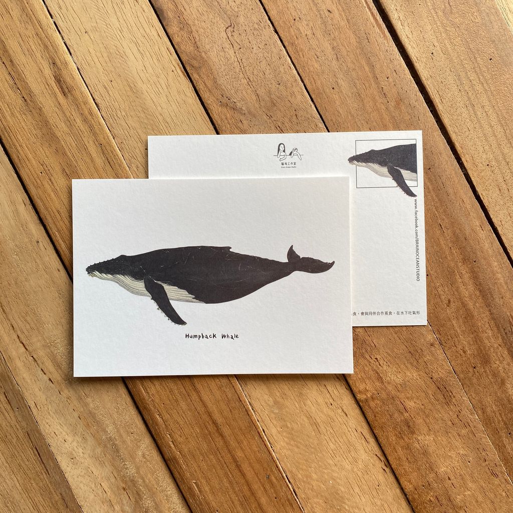 postcard-humpbackwhale.jpg