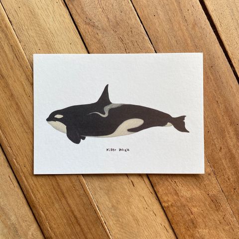 postcard-front-killerwhale.jpg